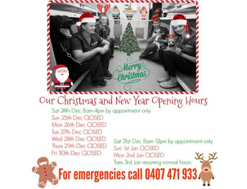 Christmas and New Years 2016 Opening Hours